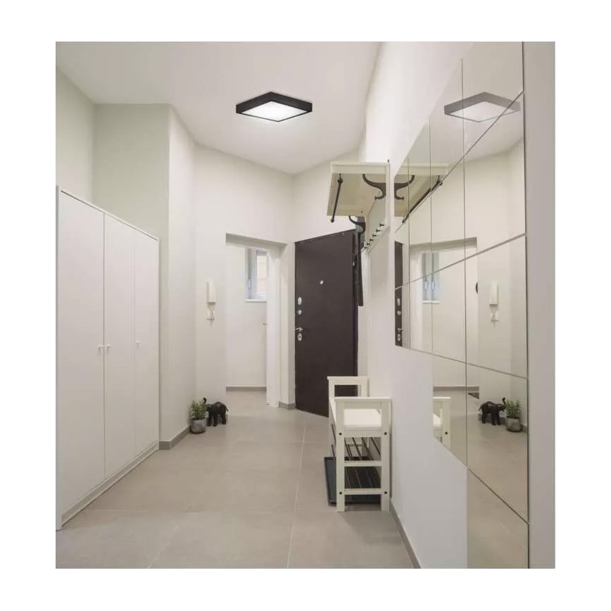 LED Plafon NEXXO LED/12,5W/230V 3000/3500/4000K 17x17 cm czarny