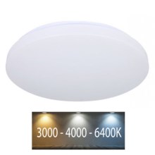 LED Plafon LED/12W/230V 26cm 3000K/4000K/6400K
