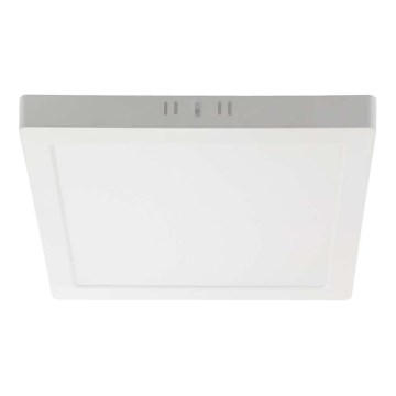 LED Plafon LED/12W/230V 3000K 16,7x16,7 cm biały