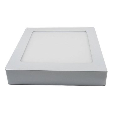 LED Plafon LED/12W/230V 6000K