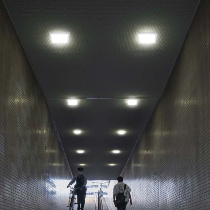 LED Plafon LED/12W/230V 6500K 16,7x16,7 cm biały