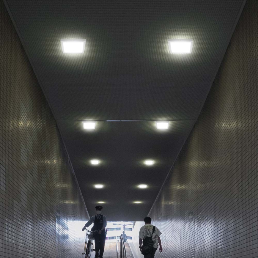 LED Plafon LED/12W/230V 6500K 16,7x16,7 cm biały