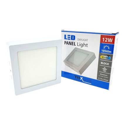 LED Plafon LED/12W/230V 6500K