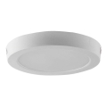 LED Plafon LED/12W/230V 6500K śr. 16,7 cm biały
