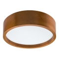 LED Plafon LED/12W/230V