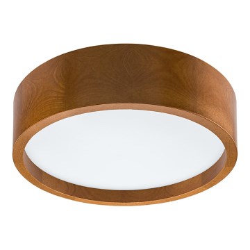 LED Plafon LED/12W/230V