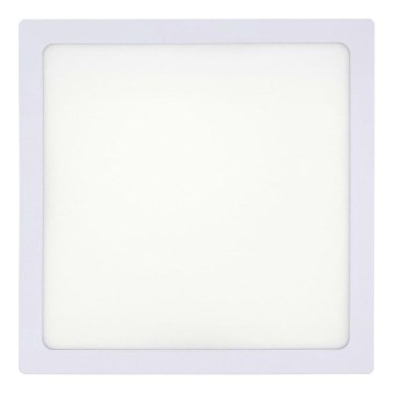 LED Plafon LED/18W/230V 2700K 21x21 cm biały