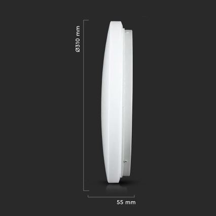 LED Plafon LED/18W/230V 31 cm 3000K/4000K/6400K