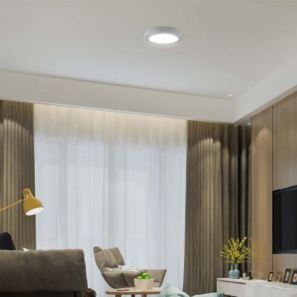 LED Plafon LED/18W/230V 6500K śr. 21,6 cm