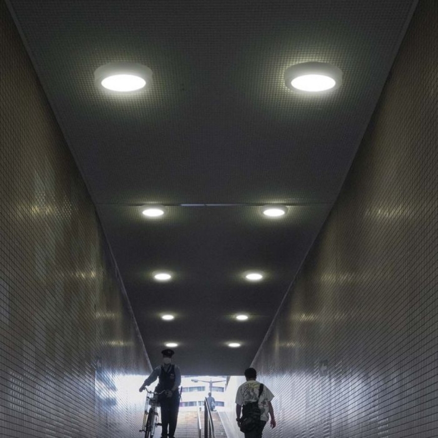 LED Plafon LED/18W/230V 6500K śr. 21,6 cm