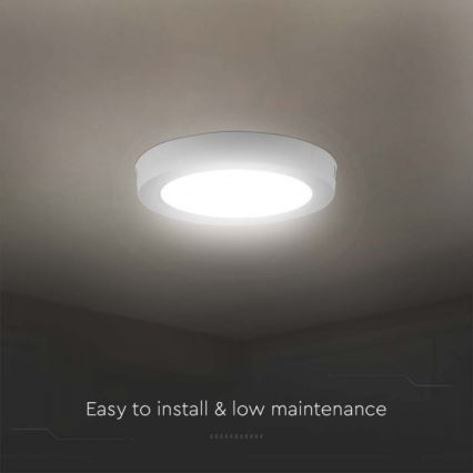 LED Plafon LED/18W/230V 6500K śr. 21,6 cm