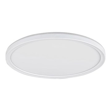 LED Plafon LED/18W/230V