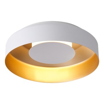 LED Plafon LED/20W/230V 3000K biały