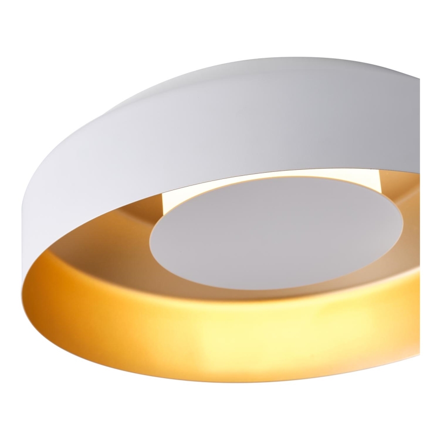LED Plafon LED/20W/230V 3000K biały