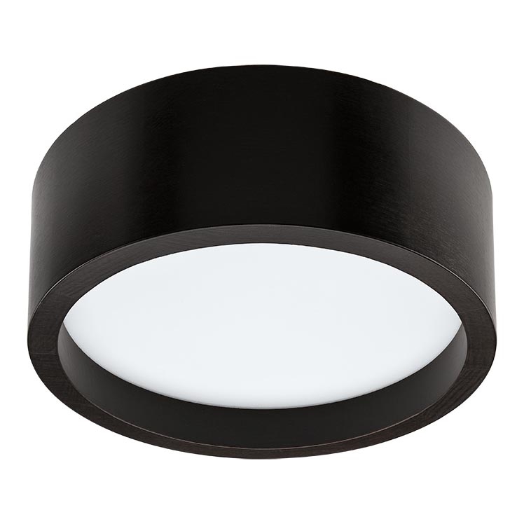 LED Plafon LED/21W/230V