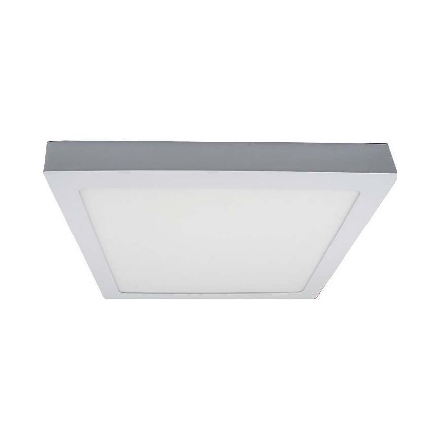 LED Plafon LED/24W/230V 3000K