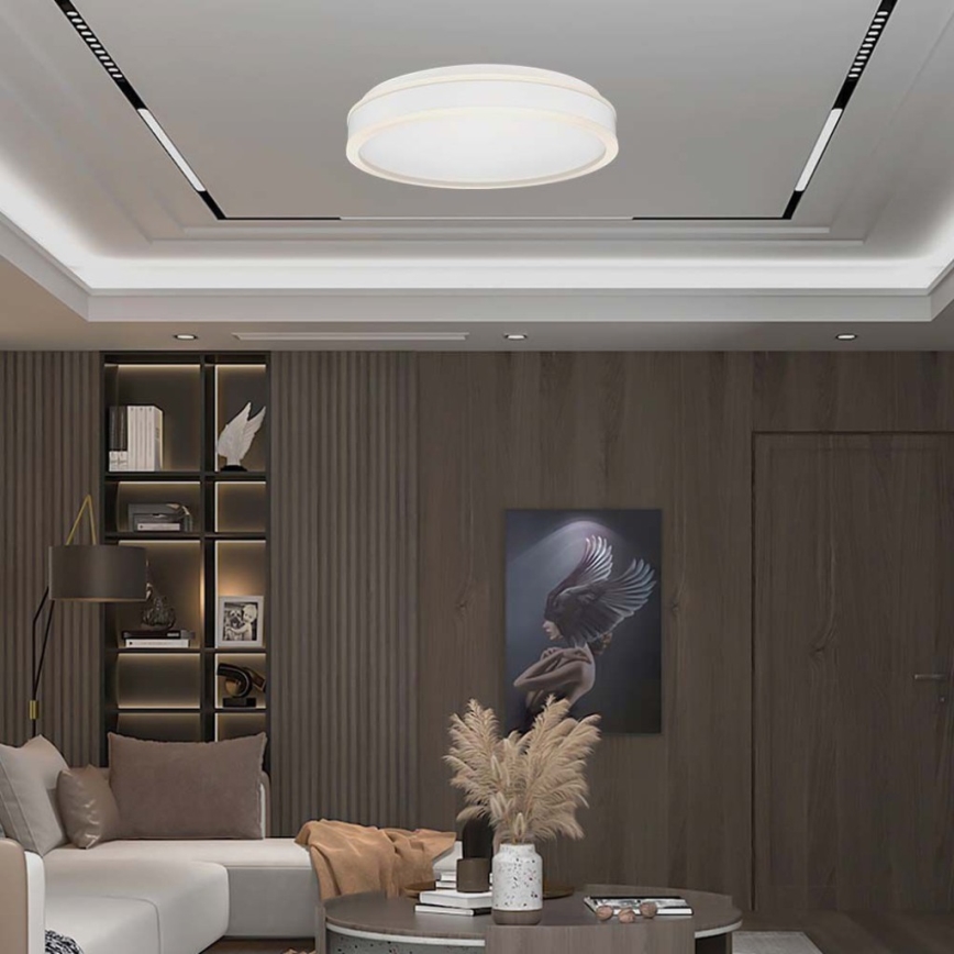 LED Plafon LED/24W/230V 4000K biały