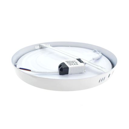 LED Plafon LED/24W/230V 4200K śr. 28,5 cm biały