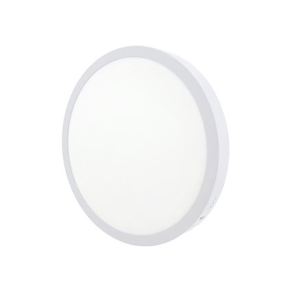 LED Plafon LED/24W/230V 4200K