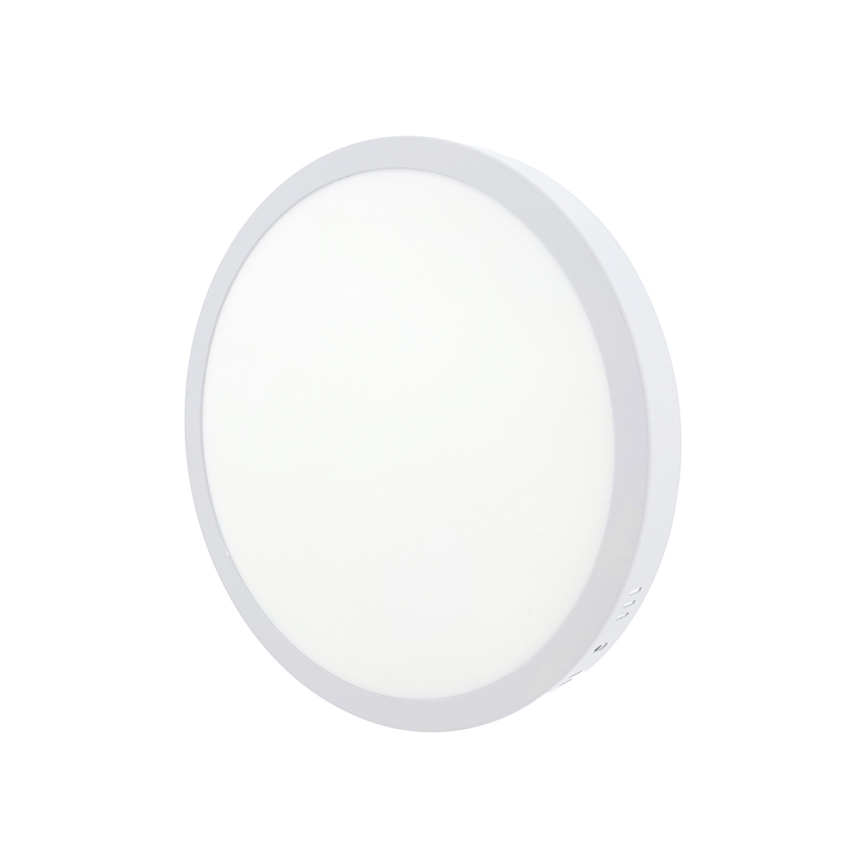 LED Plafon LED/24W/230V 4200K