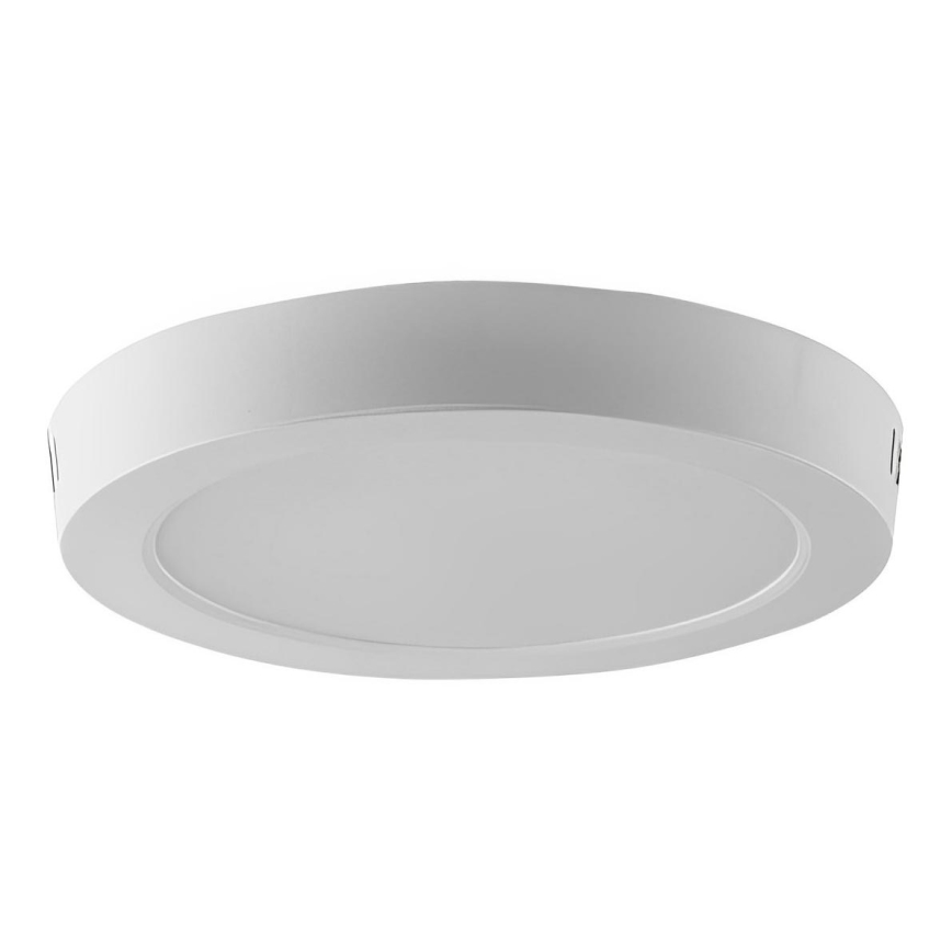 LED Plafon LED/24W/230V 6500K śr. 28,8 cm