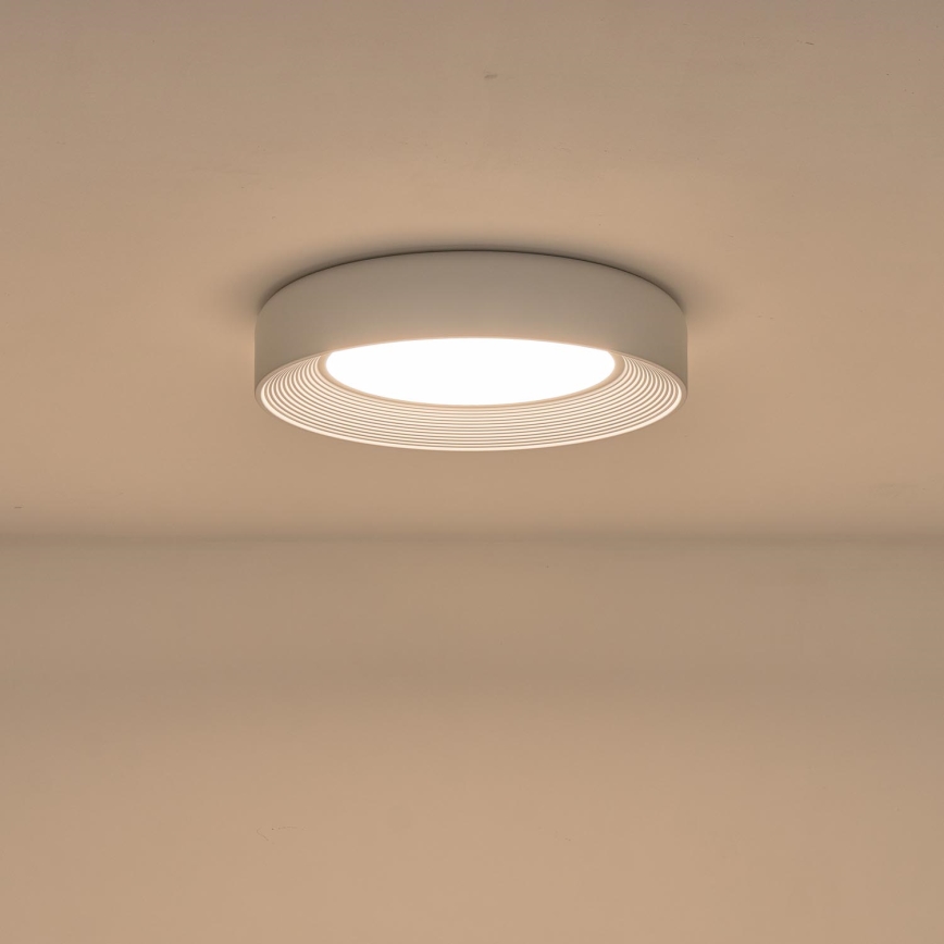 LED Plafon LED/40W/230V 3000K biały