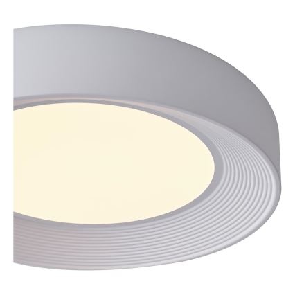 LED Plafon LED/40W/230V 3000K biały