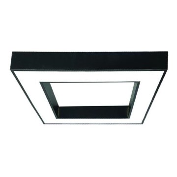 LED Plafon LED/55W/230V 4000K 80x80 cm