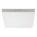 LED Plafon LED/6W/230V 4000K 12x12 cm biały