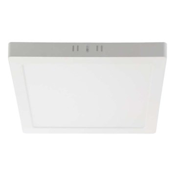 LED Plafon LED/6W/230V 4000K 12x12 cm biały