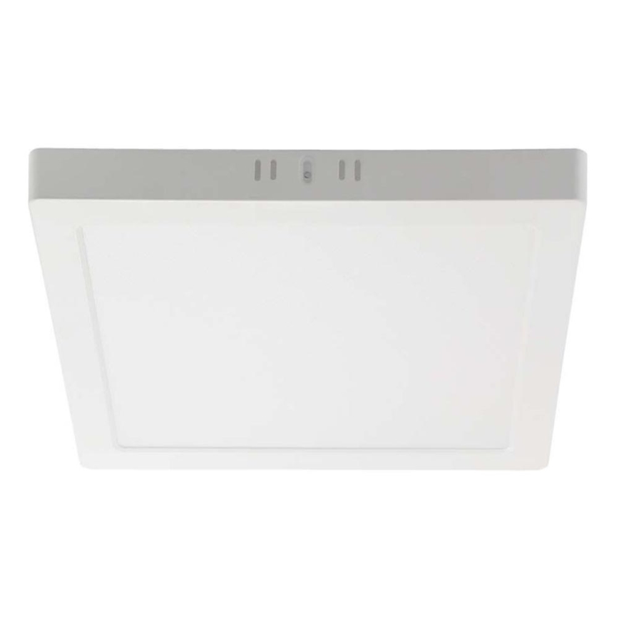LED Plafon LED/6W/230V 4000K 12x12 cm biały