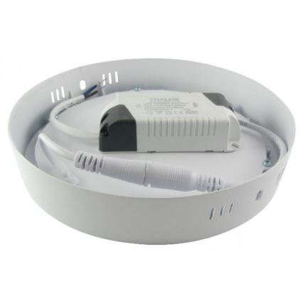 LED Plafon LED/6W/230V 6500K