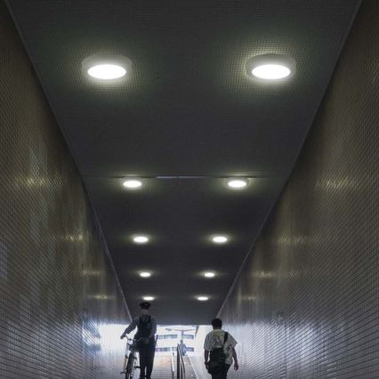 LED Plafon LED/6W/230V 6500K śr. 12 cm biały