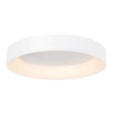 LED Plafon OHIO 1xLED/24W/230V