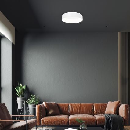 LED Plafon OHIO 1xLED/24W/230V