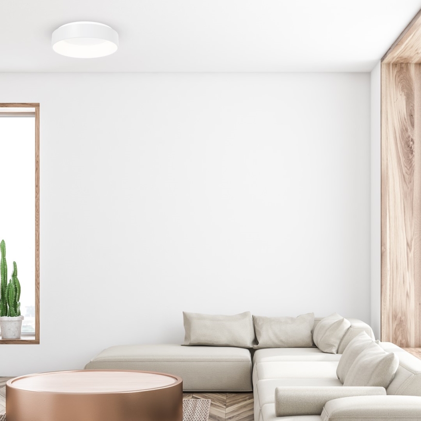 LED Plafon OHIO 1xLED/24W/230V