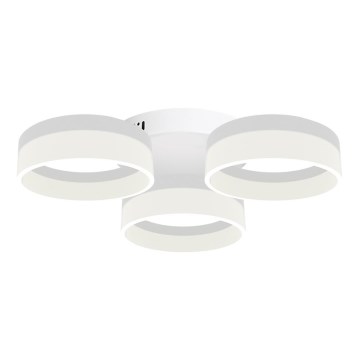 LED Plafon RING 3xLED/12W/230V białe