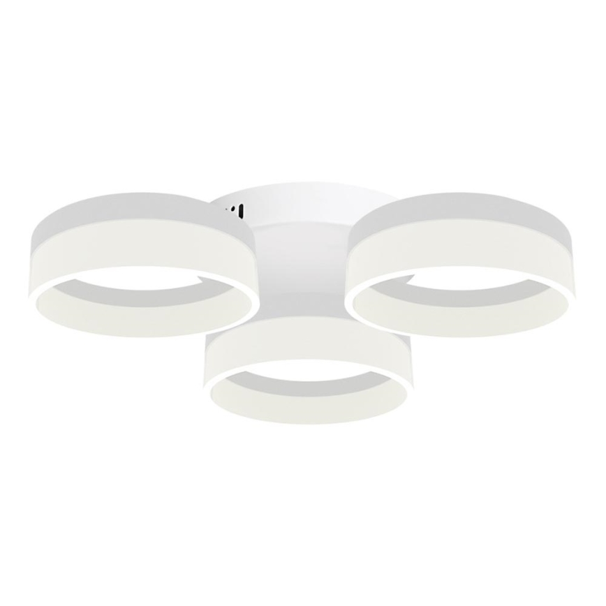 LED Plafon RING 3xLED/12W/230V białe