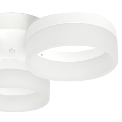 LED Plafon RING 3xLED/12W/230V białe