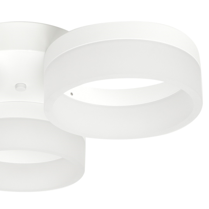 LED Plafon RING 3xLED/12W/230V białe