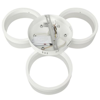 LED Plafon RING 3xLED/12W/230V białe