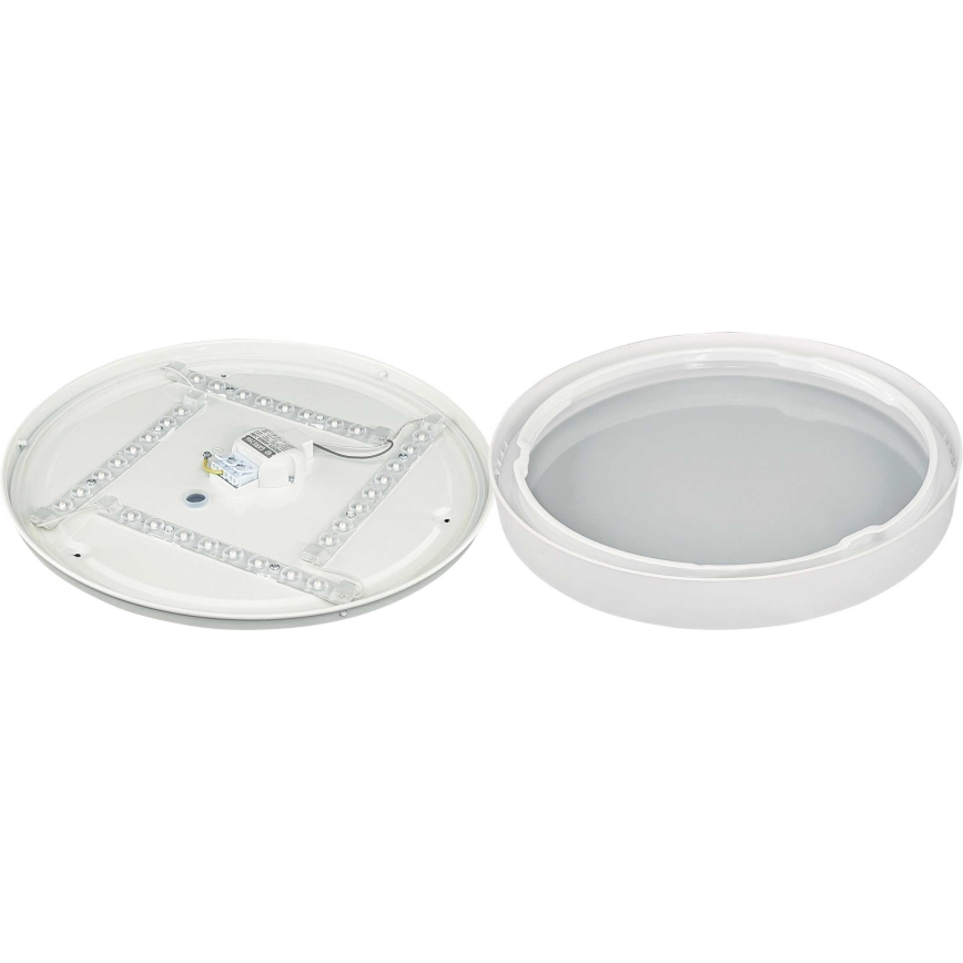 LED Plafon SAMER LED/24W/230V 4000K