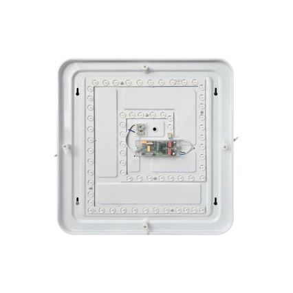 LED Plafon ściemnialny FLORA LED/36W/230V 2700-6500K 43x43 cm + pilot zdalnego sterowania