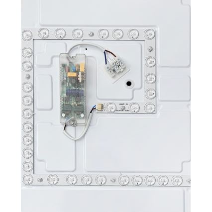 LED Plafon ściemnialny FLORA LED/60W/230V 2700-6500K 53x53 cm + pilot zdalnego sterowania