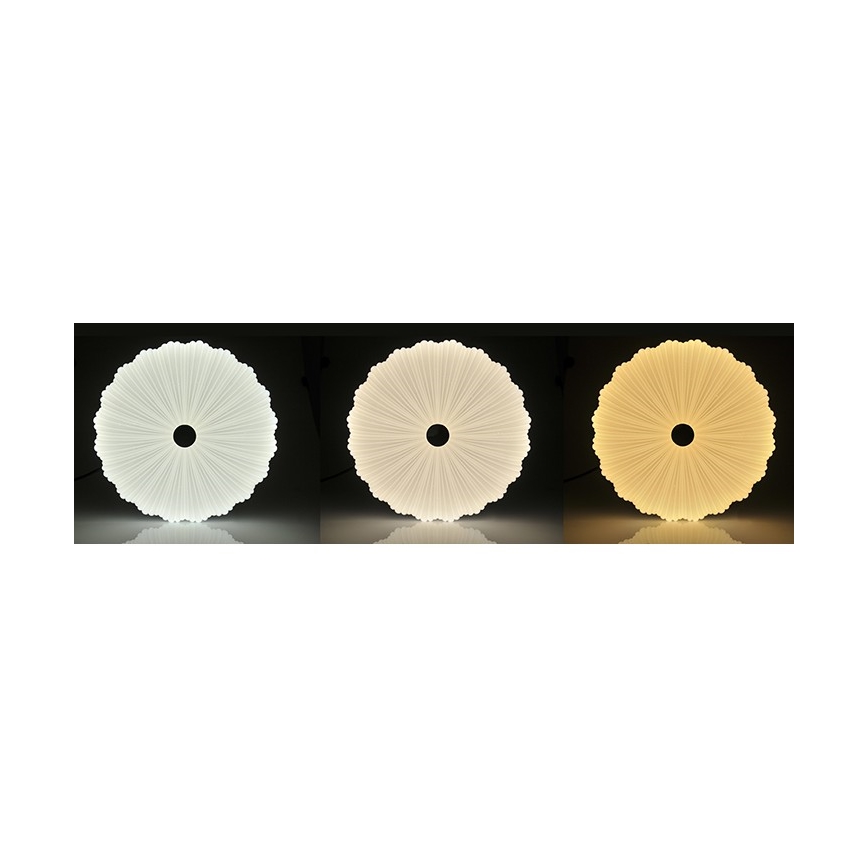 LED Plafon ściemnialny FLOWER LED/36W/230V + ZS