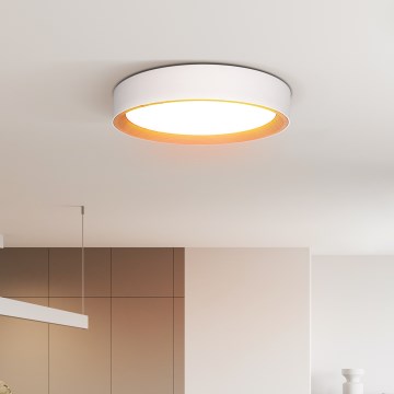LED Plafon ściemnialny LARIOS LED/48W/230V 3000-6500K śr. 39 cm biały + pilot zdalnego sterowania