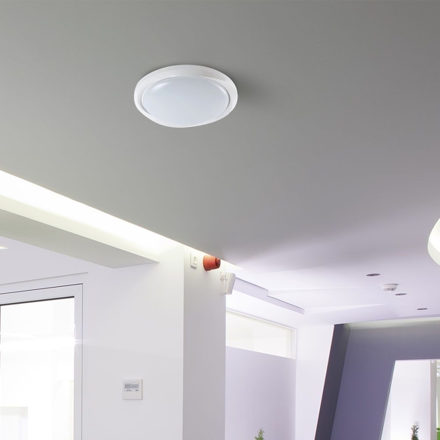 LED Plafon ściemnialny LED/60W/230V 3000-6500K 49,2 cm biały + pilot zdalnego sterowania