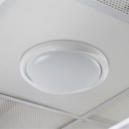 LED Plafon ściemnialny LED/60W/230V 3000-6500K 49,2 cm biały + pilot zdalnego sterowania