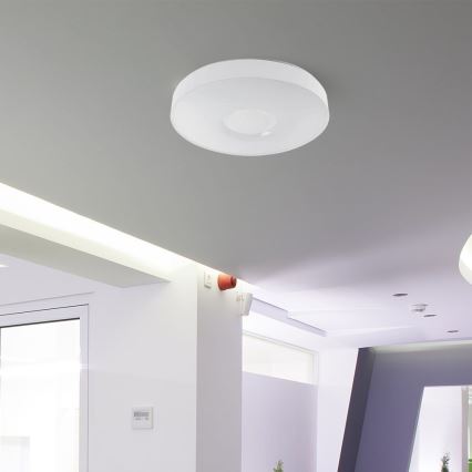 LED Plafon ściemnialny LED/60W/230V 3000-6500K 49,5 cm biały + pilot zdalnego sterowania