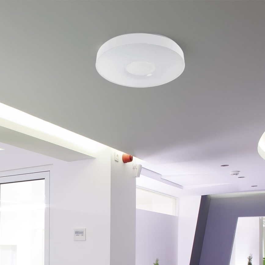 LED Plafon ściemnialny LED/60W/230V 3000-6500K 49,5 cm biały + pilot zdalnego sterowania